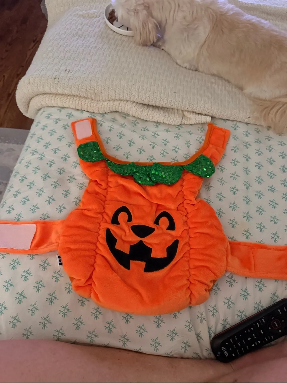 Pet Orange Pumpkin Costume with Green Leaf Collar-Costume size Large -NWOT